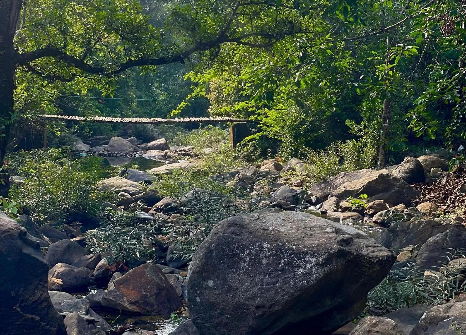 Wetlands Wayanad Pool Resort With Natural Waterfalls Padinjarathara