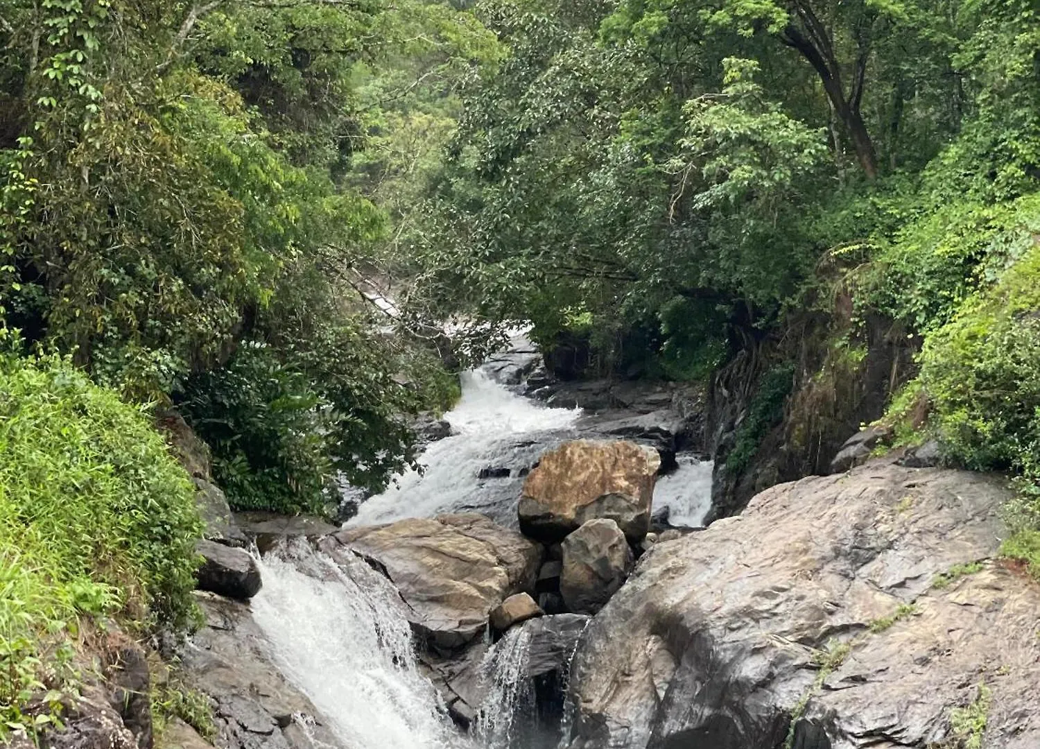 Wetlands Wayanad Pool Resort With Natural Waterfalls Padinjarathara