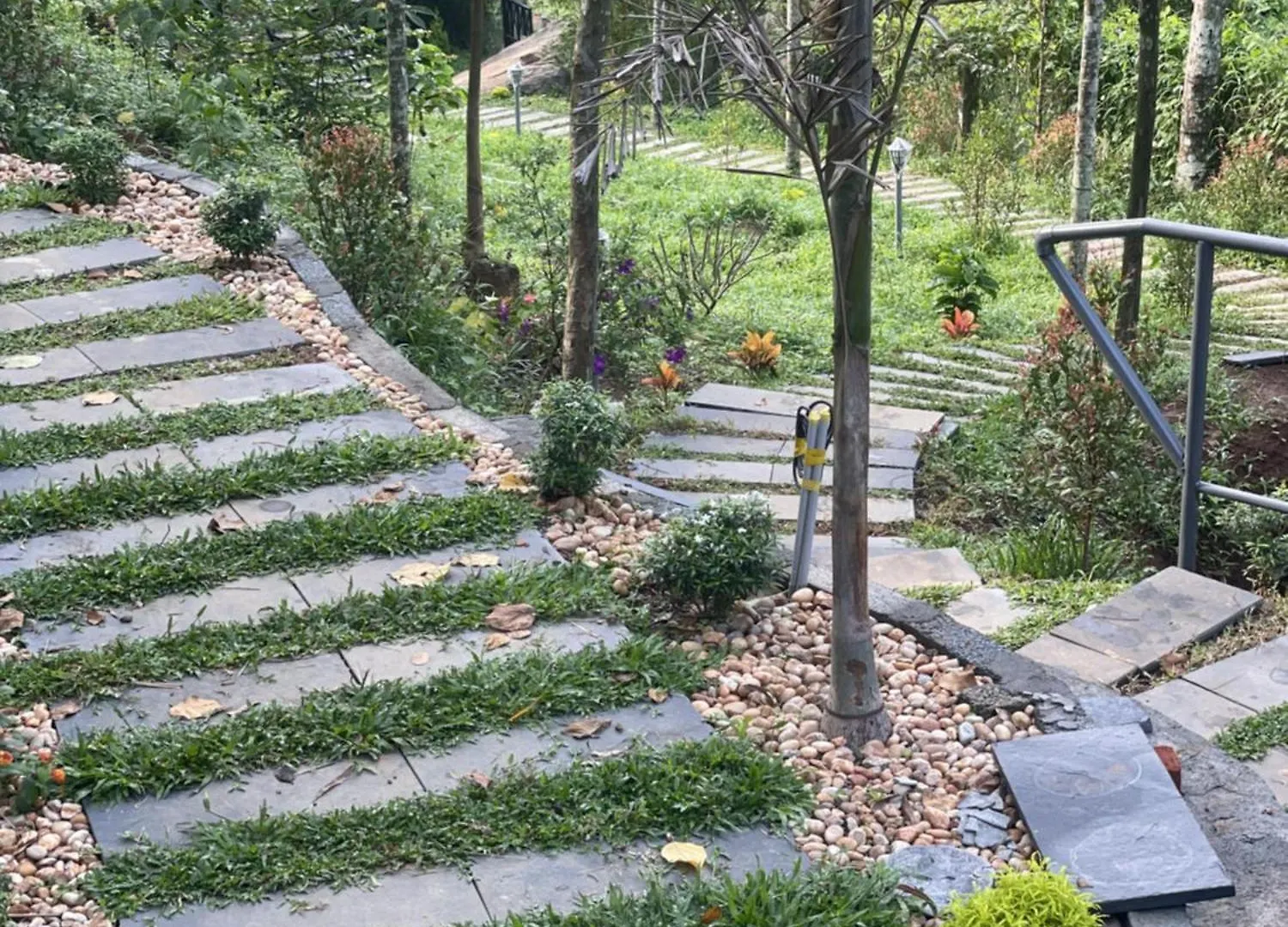 Wetlands Wayanad Pool Resort With Natural Waterfalls Padinjarathara 0*,  India