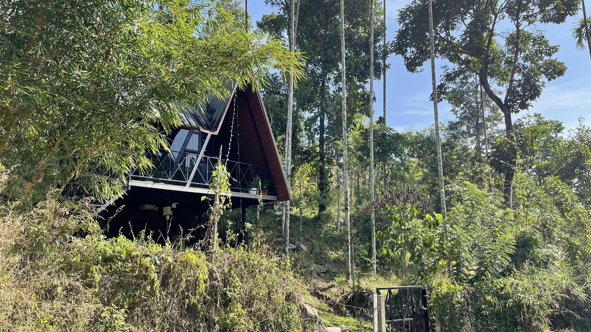 Wetlands Wayanad Pool Resort With Natural Waterfalls Padinjarathara