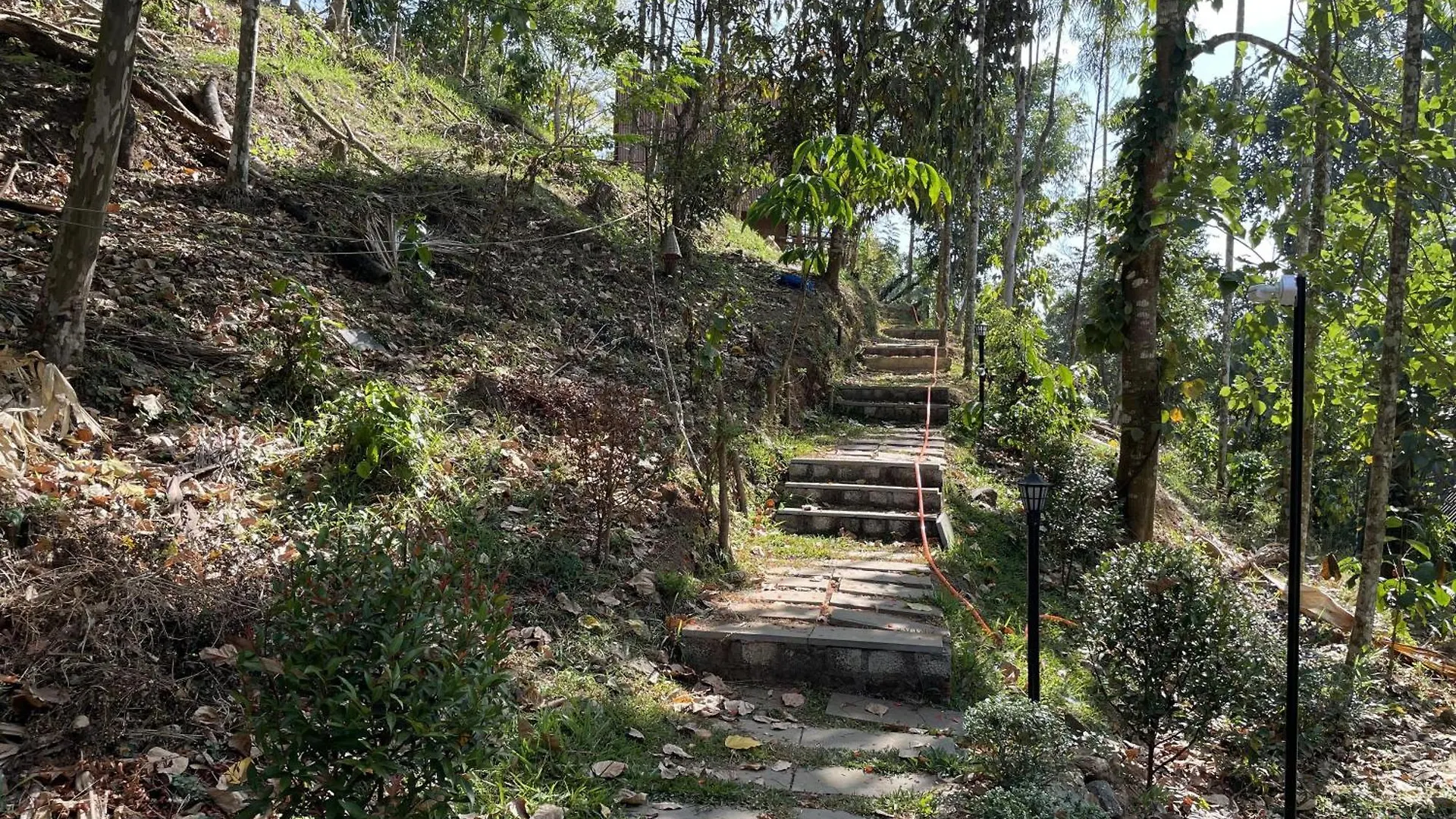 Wetlands Wayanad Pool Resort With Natural Waterfalls Padinjarathara