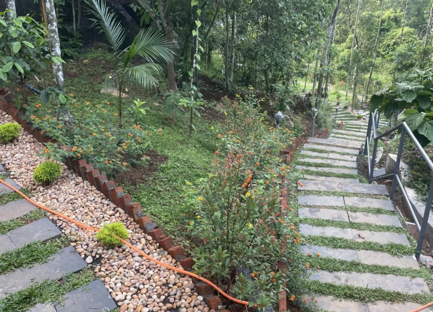 Wetlands Wayanad Pool Resort With Natural Waterfalls Padinjarathara
