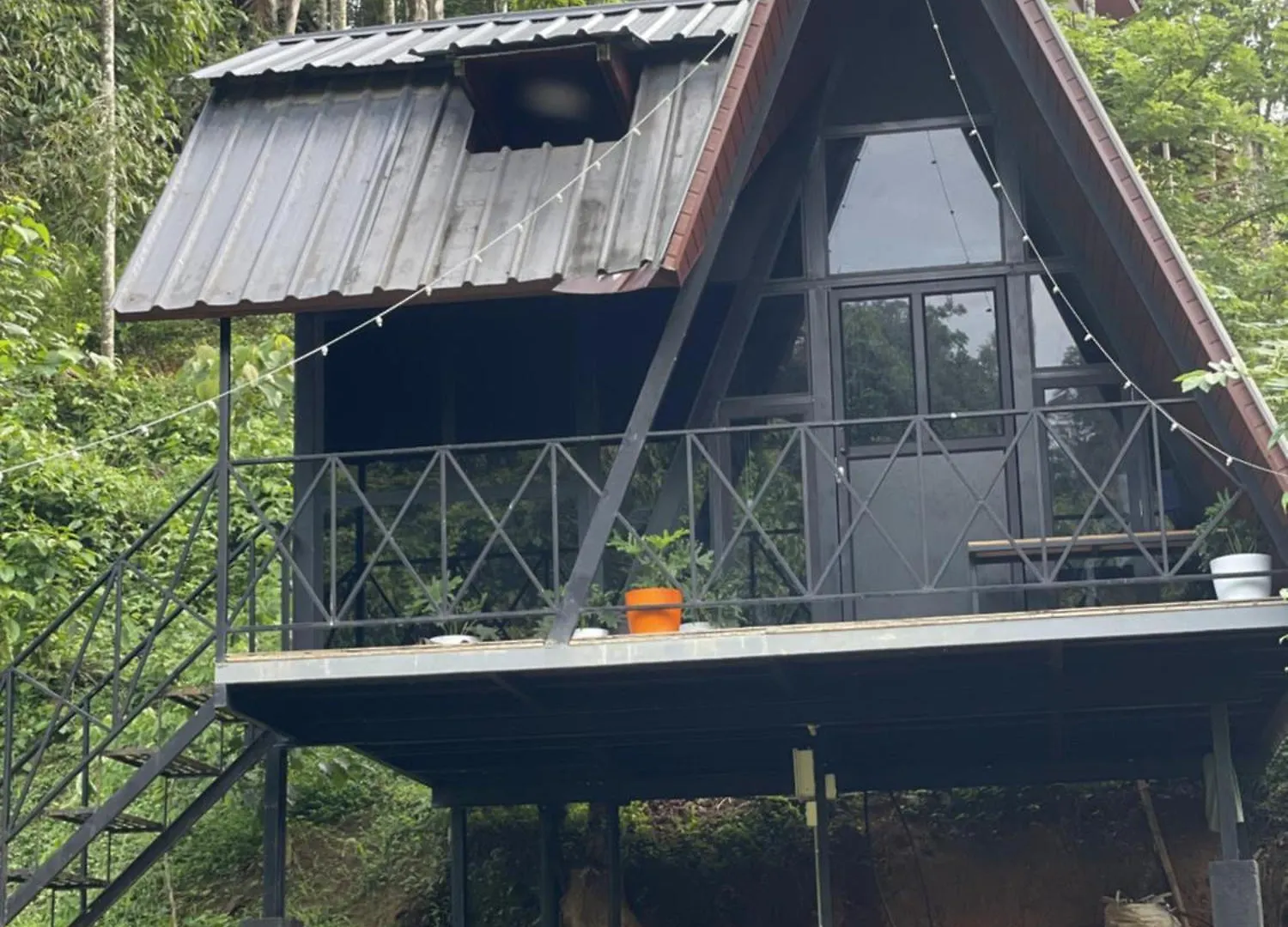 Wetlands Wayanad Pool Resort With Natural Waterfalls Padinjarathara Indie