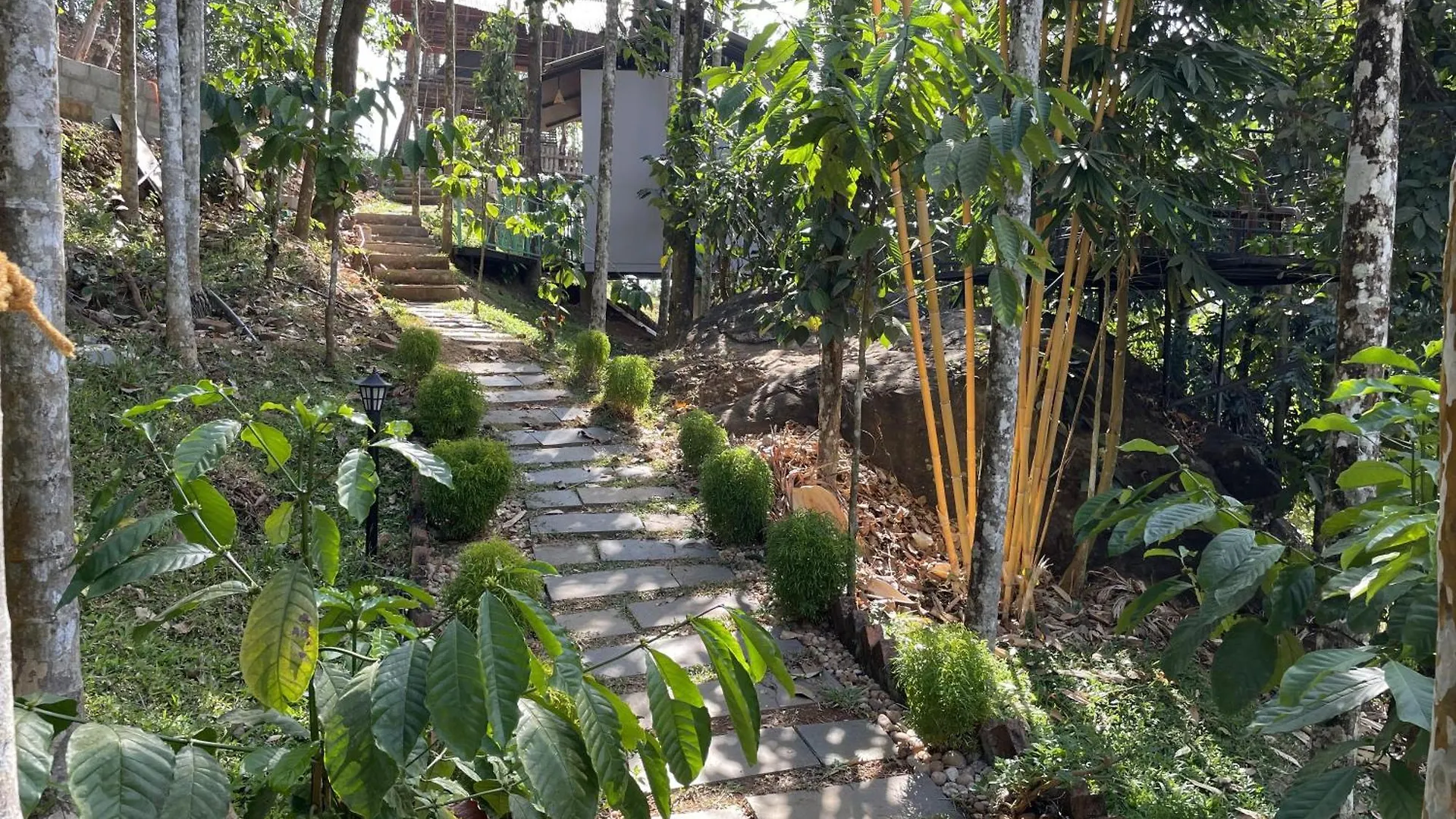 Wetlands Wayanad Pool Resort With Natural Waterfalls Padinjarathara